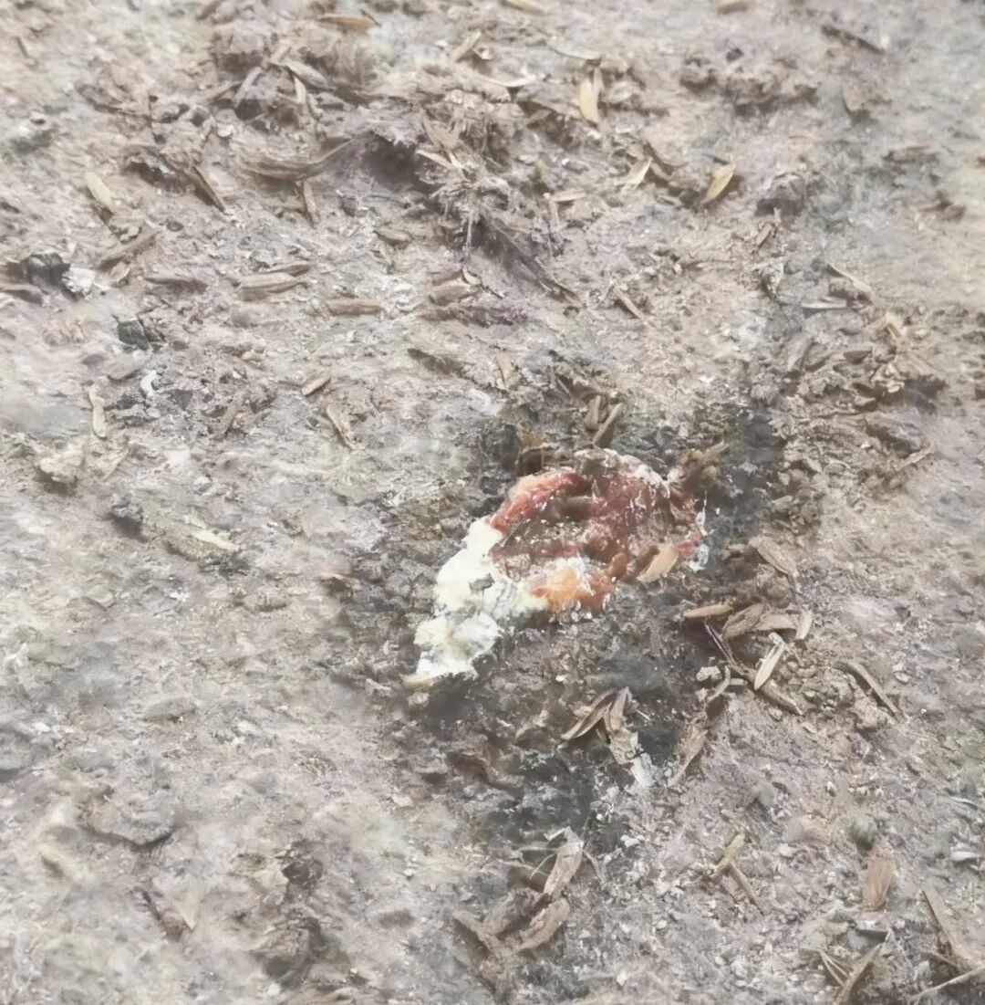 2025/09/20250929175049766.jpg?NjQwLmpwZw==